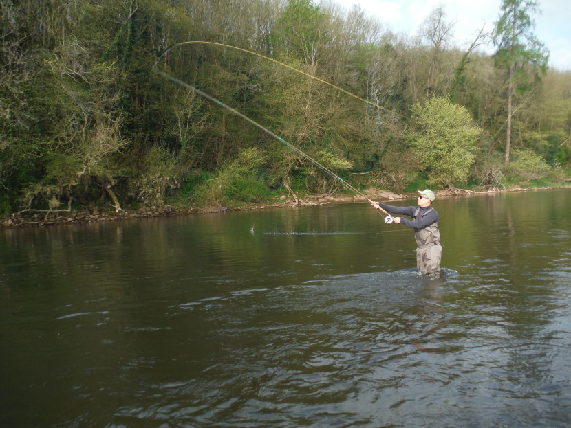 Single Spey cast